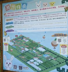 -前小桔亲子创意农场·草莓采摘·露营烧烤