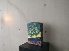 -涉地可支