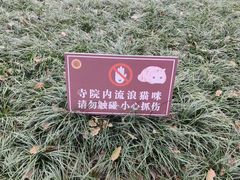 -西园寺素食(西园弄戒幢律寺店)