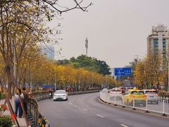 -洲头咀公园