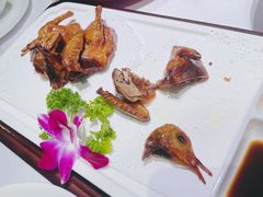 -院里寻菜·精致庭院菜(观沙岭店)