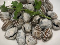 -吴记富苑(朝阳店)