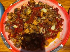 -柴窝堡22号辣子鸡·传承新疆菜