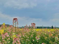 -中国天府农业博览园