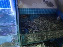 -面道赞宁海海鲜面(迎凤街店)