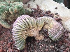 -南通洲际绿博园