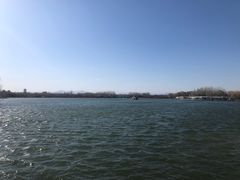 -大兴滨河森林公园