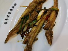 -长平老姿娘夜粥(平东一街店)