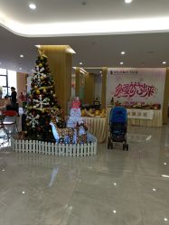 -宝生月子中心·独栋独院式(南山店)
