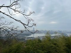 -紫金山山顶公园