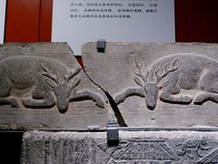 -山东博物馆