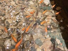 -邈墨茶馆(凤起路店)