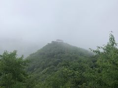 -大岭沟猕猴桃谷风景区