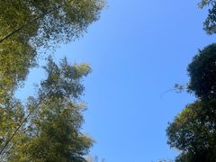 -潜山国家森林公园