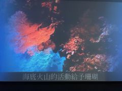 -东海珊瑚博物馆