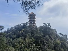 -缙云山景区