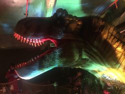 -恐龙探索乐园(磁器口店)