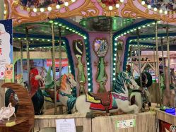 -卡通尼·Safari非洲探索乐园·生日会(金桥国际商业广场店)