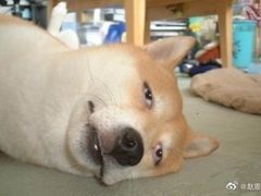 -味福记·本地特色菜(八一万达广场店)