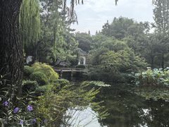 -秋霞圃
