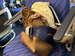 -郑州新郑国际机场-T2航站楼