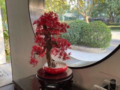 -麦舍MaiMassage(张杨路店)