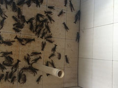 iphone_upload_pic-四季园农家乐