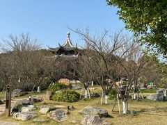 -江心屿景区
