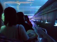 -白鹤梁水下博物馆