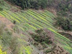 -灵山景区梯田