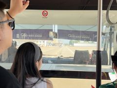 -长沙黄花国际机场-T1航站楼