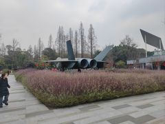 -成飞公园