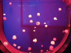 -福州罗源湾海洋世界旅游区