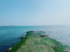 -八大关景区
