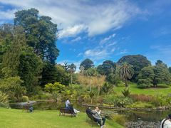 -墨尔本皇家植物园