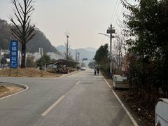 -千年银杏谷文化旅游区