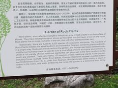 -广西壮族自治区药用植物园
