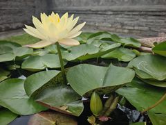 -代州文庙