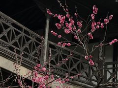 -何园