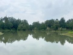 -桤木河湿地公园