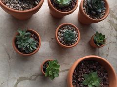 -红楼酒家(幸福家园精品街店)