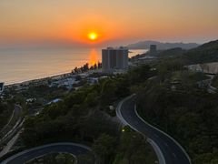 -广东惠东海龟国家级自然保护区