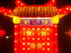 -南宫五洲植物乐园