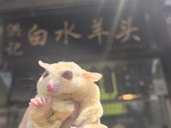 -洪记白水羊头(留学路店)