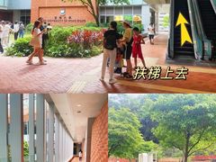 -香港大学