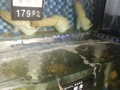 -浩运·海鲜青岛菜·海胆水饺(石老人店)