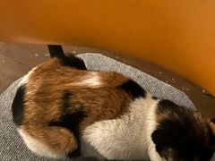 -大象厨房(重庆道店)