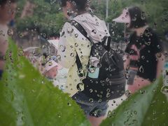 -重庆海昌加勒比海水世界