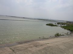 -合肥滨湖国家森林公园