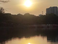 -圩墩遗址公园